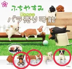 2026年最新】バラ売り可の人気アイテム - メルカリ