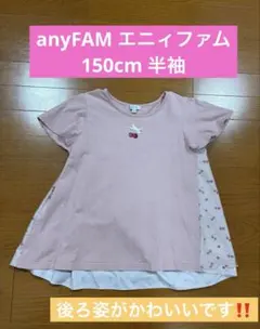 anyFAM エニィファム　Tシャツ 150cm