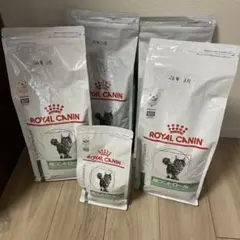 Item thumbnail for item 32686843-01ca-4a07-a337-0a740e517c67