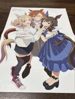 user_a503e85d様 リクエスト 2点 まとめ商品