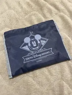 【新品未使用】　東京ディズニーリゾート エコバッグ大サイズ　(タッグなし)