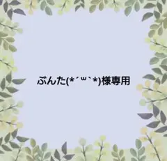 【ぶんた(*´꒳`*)様専用】