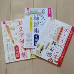 ボールペン字 ペン習字 美文字 美しい文字 美文字練習帳 3冊セット