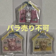 SEVENTEEN MINITEEN ガチャ パッケージチャーム ジョンハン - メルカリ