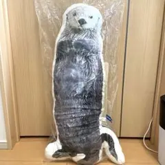 2025年最新】メイキラ クッションの人気アイテム - メルカリ