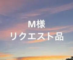 M様 リクエスト 2点 まとめ商品