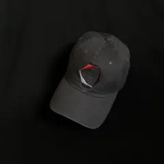 交渉可ROA / ロア CAP 6 PANEL RBUW219FA12 - メルカリ