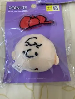 チャーリーブラウン韓国ダイソー限定バッジ