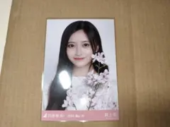 乃木坂46 生写真 桜カラーコーデ 井上和　ヨリのサムネイル