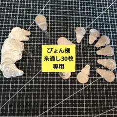 스레딩 시트 30장, 파이온사마 전용