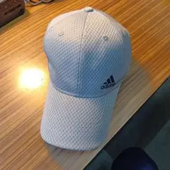 Item thumbnail for item 37c69e84-5cff-49ef-9c8e-cbfbd9ed8e08