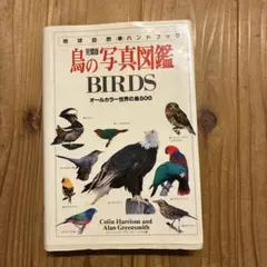 鳥の写真図鑑