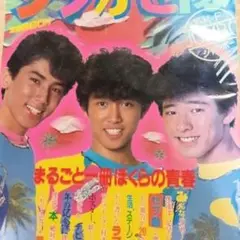 まるごと一冊ぼくらの青春 しぶがき隊写真集 かなりレア