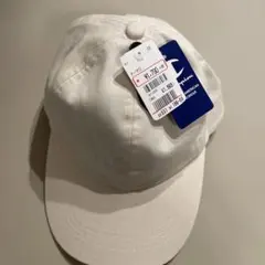 Item thumbnail for item 67d301f7-895a-4760-98c6-42bf6c0470e3