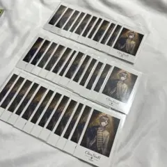 叶 チェキ 35枚セット luxurystyle にじさんじ