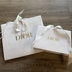 Dior ショッパー　ショップ袋 大小2枚　リボン付き