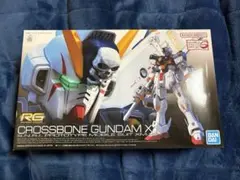 RG 1/144 クロスボーン・ガンダムX1