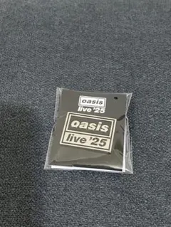 2025年最新】オアシスピンズの人気アイテム - メルカリ