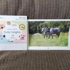 Item thumbnail for item a6746095-7b67-48a7-a928-a34e8ebf904f