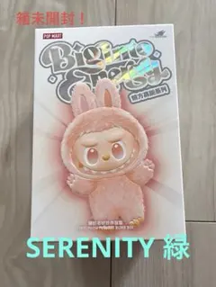 完全未開封☆ラブブBigintoenergy SERENITY緑 POPNOW