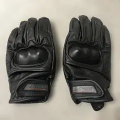 Item thumbnail for item da36f4ec-7a24-4680-8915-544a1c6ce49c