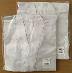 Item thumbnail for item 8d9fcbf6-72ef-4a4d-b370-fb95588cfcca