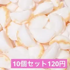 ネイルパーツ ミニパーツ 10個セット ギョウザ