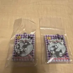 シャカシャカフレークシール風チャーム