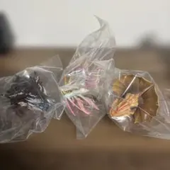タマミツネ モンスターへッドマグネット 一番くじ モンスターハンター C賞