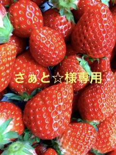 さぁと☆様専用