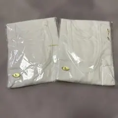 Item thumbnail for item caa7cb8d-2178-4914-9496-e33973d9b798