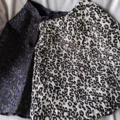 Item thumbnail for item b0e6a103-657c-4756-b7d7-149c609f1117