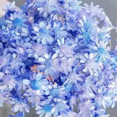 K☆様 リクエスト 2点 まとめ商品