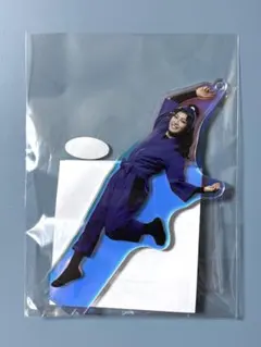 綾部喜八郎 15弾 アクスタ ミュージカル 忍たま乱太郎 大谷誠