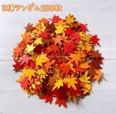 クラフトパンチ　秋の葉っぱシリーズ　もみじ250枚 5種　ランダム