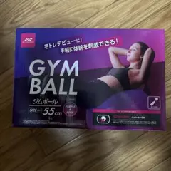 GYM BALL 55cm パープル＆ピンク