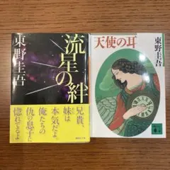 【匿名配送】東野圭吾　文庫本2冊セット