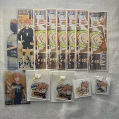 ハイキュー‼︎ 日向翔陽 13点セット アクリルキーホルダー カード