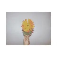 専用出品