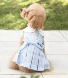 犬服 ワンピース チェック 水色 リボン 小型犬