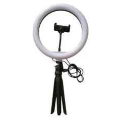 Item thumbnail for item e4a53522-cadb-4a0b-9b9a-da9dec4a92e4