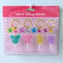 ミッキー＆フレンズデザイン 東京ディズニーランドキャンディーキーチェーン