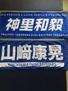 Item thumbnail for item 5527ca9d-8db8-4895-aa6b-38be6556f170