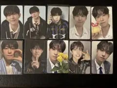 ゴヌ タレントカード