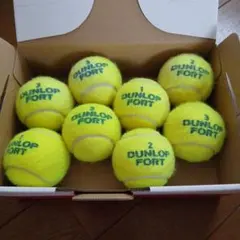 2026年最新】DUNLOP(ダンロップ)FORT(フォート) テニスボール 60球