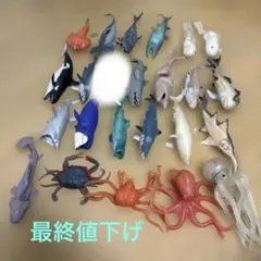 【26体大量】シーモンスターズ＆Co. アンドコ ビッグ 海の生き物 まとめ売りのサムネイル