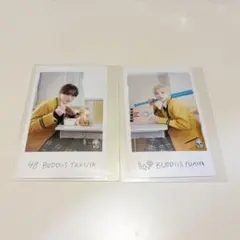 BUDDiiS TAKUYA FUMIYA 2枚セット