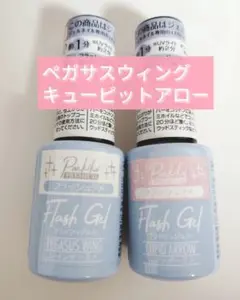 【新品】ペガサスウィング キューピットアロー キャンドゥ フラッシュジェル