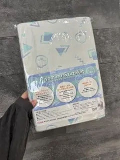 Item thumbnail for item 5d829763-8050-465e-bbb1-dd45edc1d638