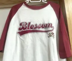 Powerpuff Girls Blossom Tシャツ